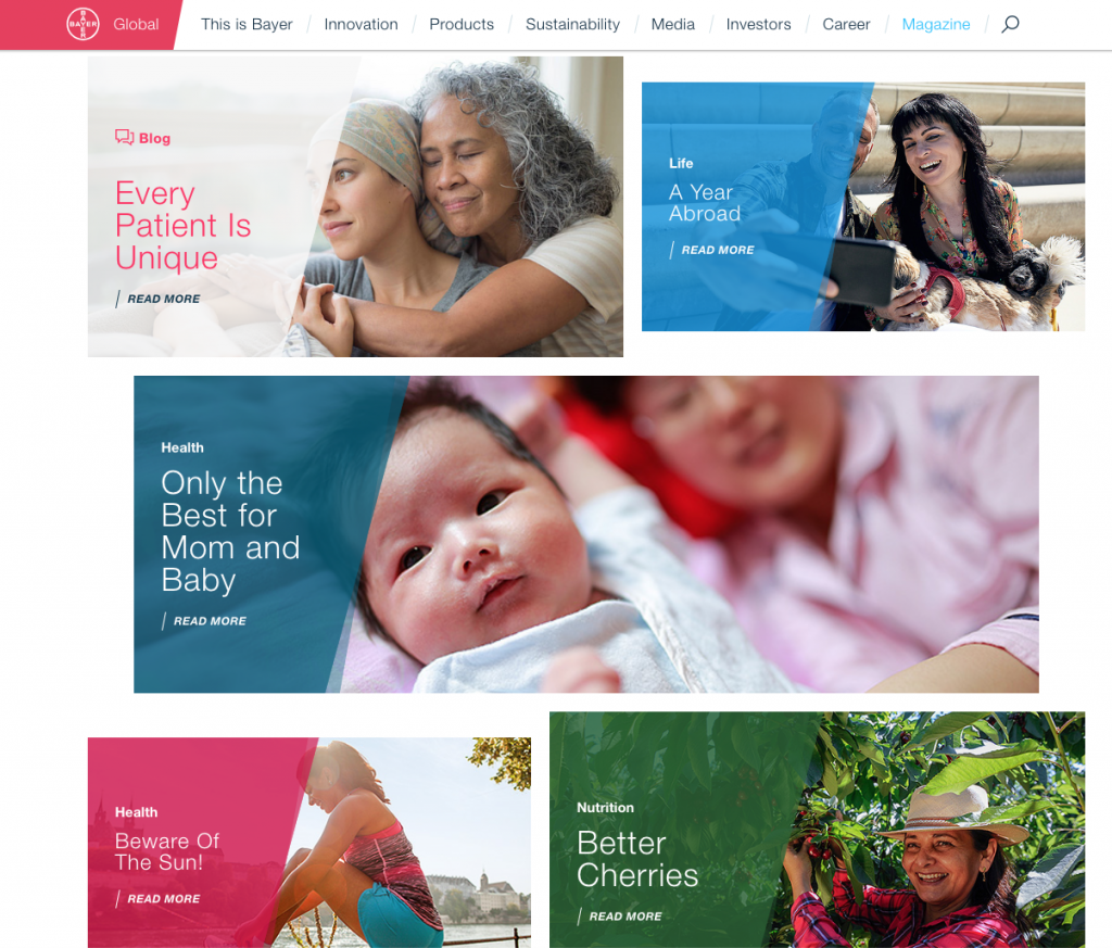 Screen shot of Bayer's blog page with several blog post titles and images, all with an action link that says, Read More.